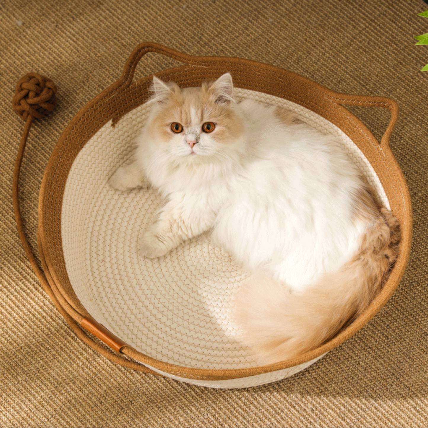 Panier Cocon Tressé pour Chat