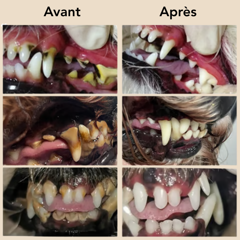 SmilePaws™ - Gel d’hygiène bucco-dentaire pour animaux