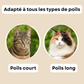 Peigne de toilettage