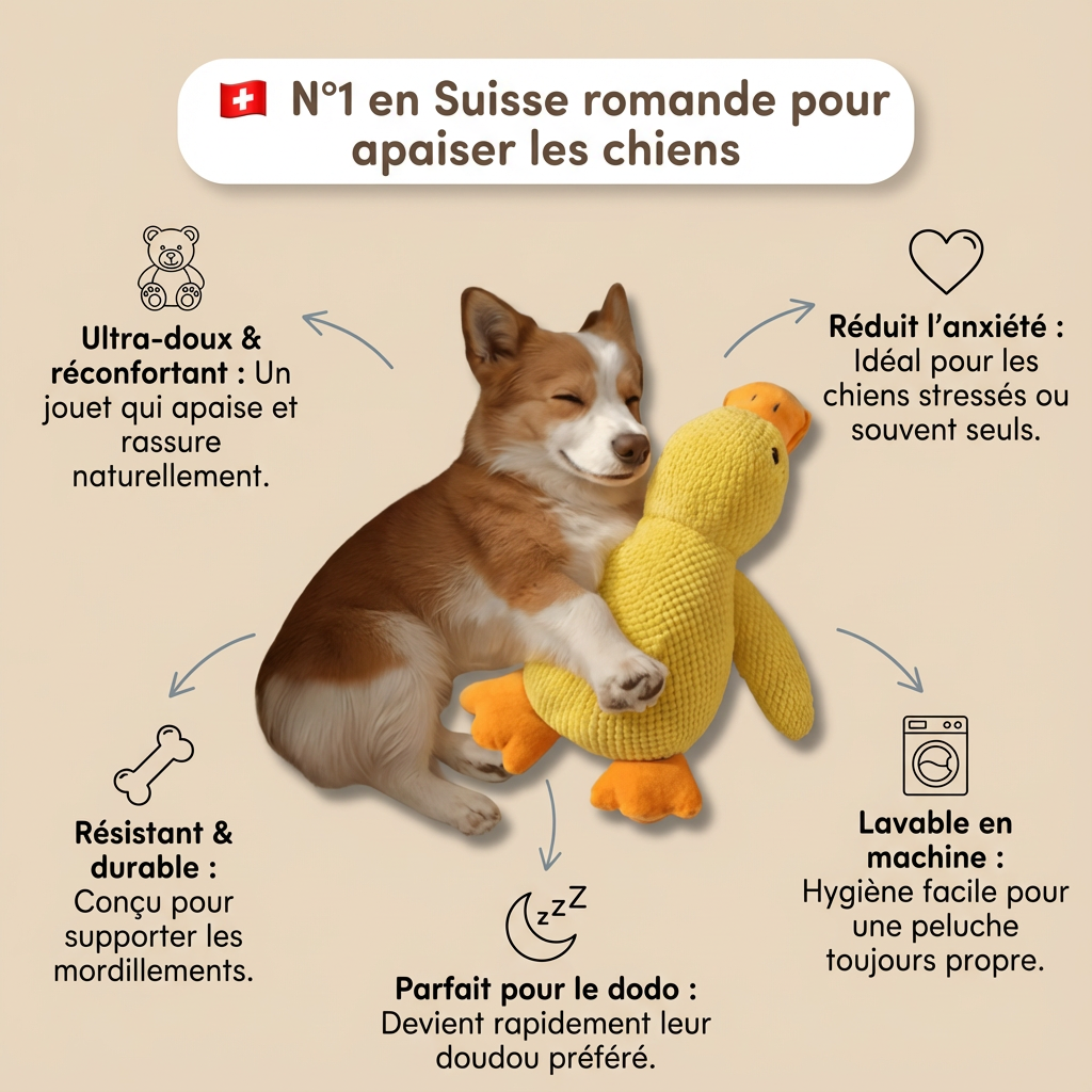 Canard Anti-Stress pour chien