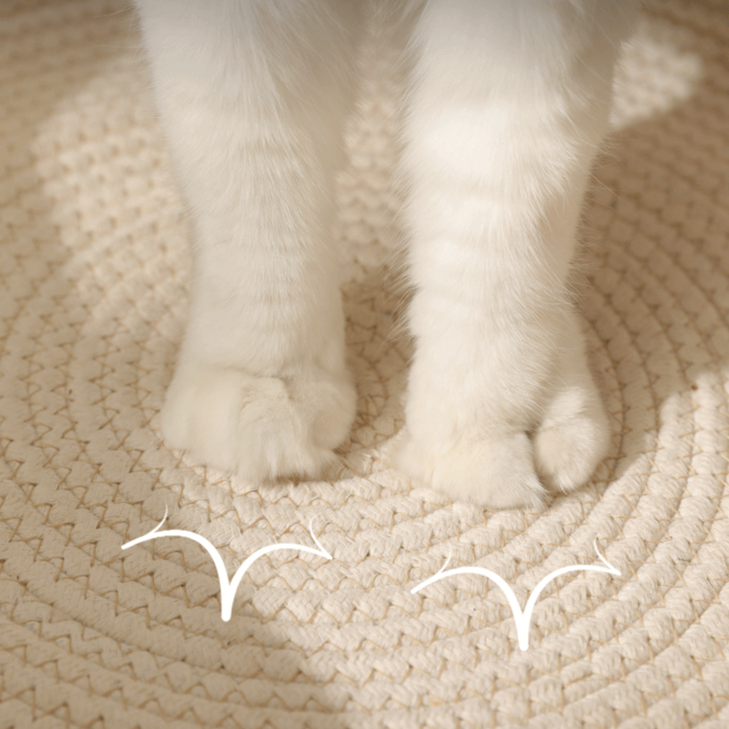 Panier Cocon Tressé pour Chat