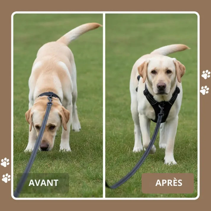 Harnais Anti-Traction Luppy